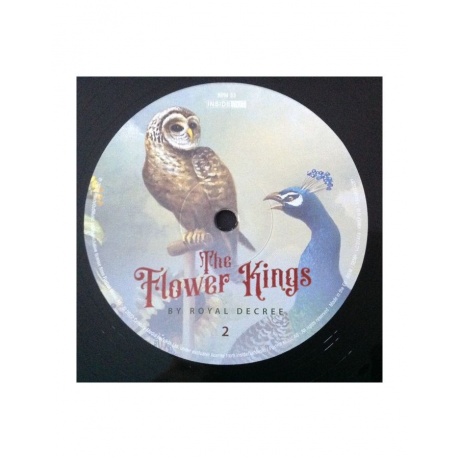 Виниловая пластинка Flower Kings, The, By Royal Decree (Box) (0194399532812) - фото 9