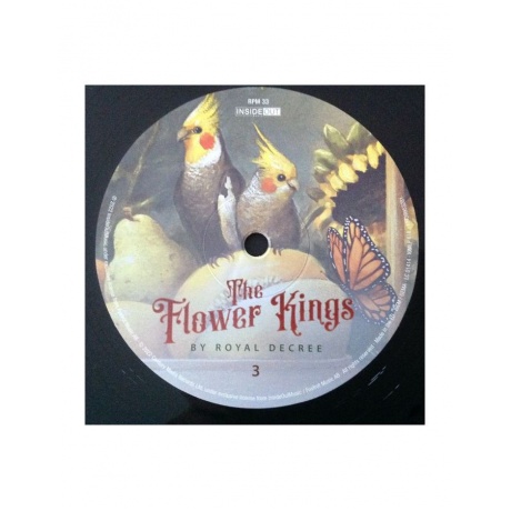 Виниловая пластинка Flower Kings, The, By Royal Decree (Box) (0194399532812) - фото 10