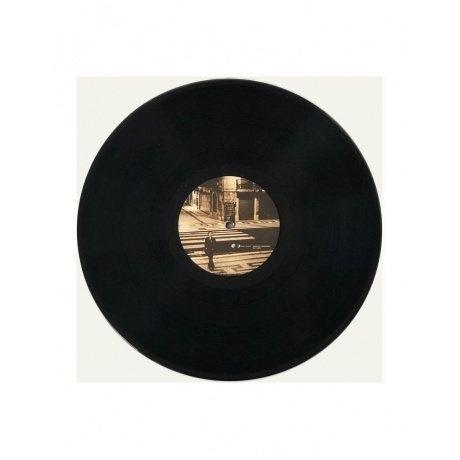 Dave Gahan - Paper Monsters (0194398785417) виниловая пластинка - фото 11