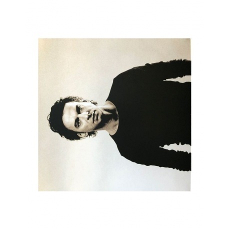 Dave Gahan - Paper Monsters (0194398785417) виниловая пластинка - фото 3