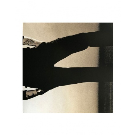 Dave Gahan - Paper Monsters (0194398785417) виниловая пластинка - фото 4