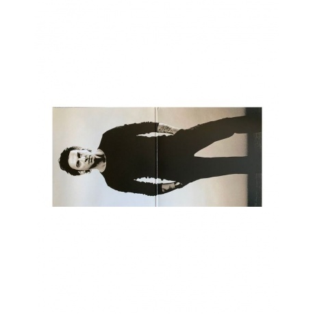 Dave Gahan - Paper Monsters (0194398785417) виниловая пластинка - фото 5