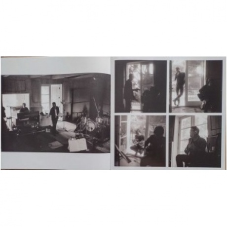 Dave; Soulsavers Gahan - Imposter (0194399256015) виниловая пластинка - фото 13