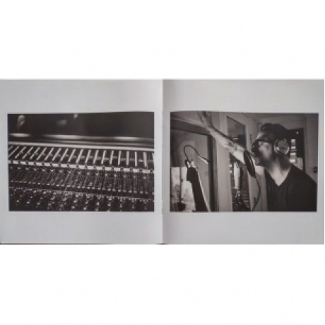 Dave; Soulsavers Gahan - Imposter (0194399256015) виниловая пластинка - фото 17