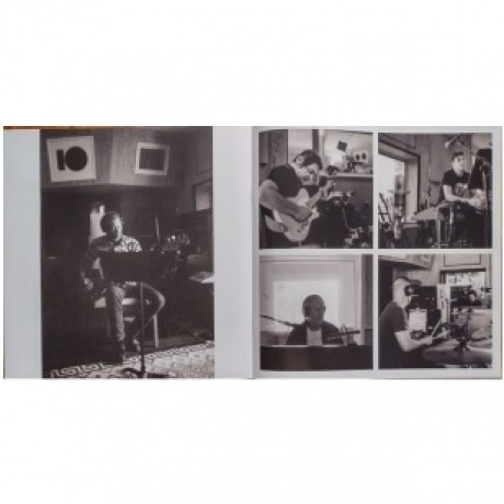 Dave; Soulsavers Gahan - Imposter (0194399256015) виниловая пластинка - фото 18