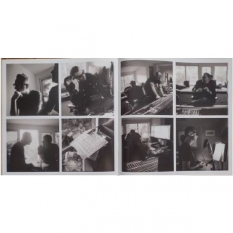 Dave; Soulsavers Gahan - Imposter (0194399256015) виниловая пластинка - фото 19