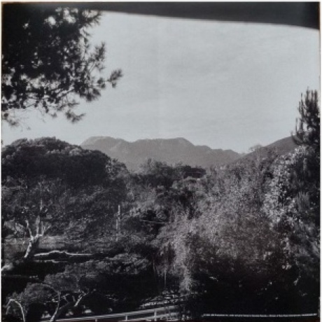 Dave; Soulsavers Gahan - Imposter (0194399256015) виниловая пластинка - фото 20