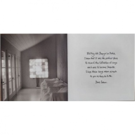 Dave; Soulsavers Gahan - Imposter (0194399256015) виниловая пластинка - фото 9