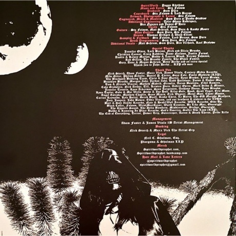 Spiritworld - Pagan Rhythms (0194399337417) виниловая пластинка - фото 6