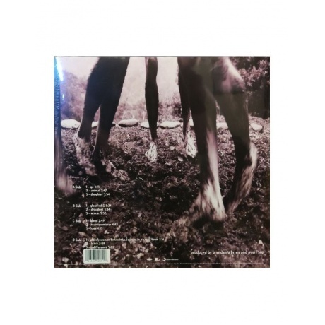 Pearl Jam - Vs. (0196588300516) виниловая пластинка - фото 2