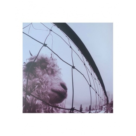 Pearl Jam - Vs. (0196588300516) виниловая пластинка - фото 3