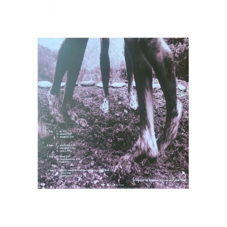 Pearl Jam - Vs. (0196588300516) виниловая пластинка - фото 4