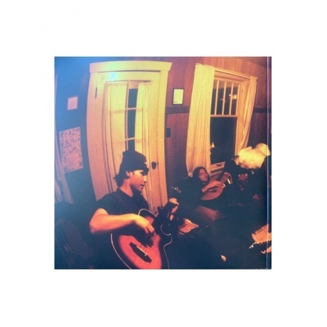 Pearl Jam - Vs. (0196588300516) виниловая пластинка - фото 5