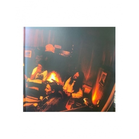 Pearl Jam - Vs. (0196588300516) виниловая пластинка - фото 6