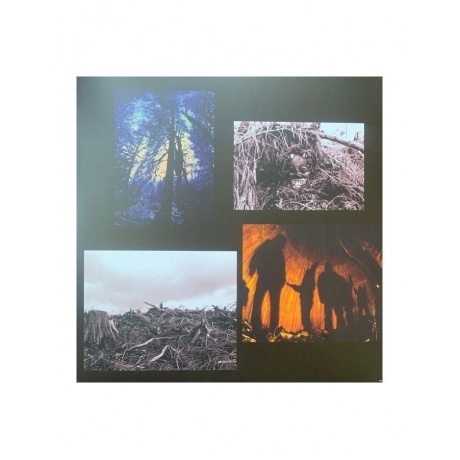 Pearl Jam - Vs. (0196588300516) виниловая пластинка - фото 7