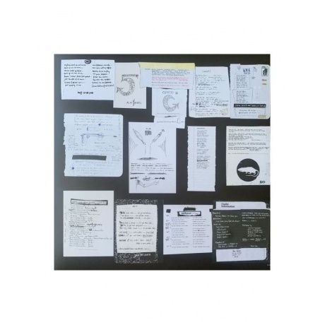 Pearl Jam - Vs. (0196588300516) виниловая пластинка - фото 9