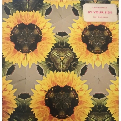 

Calvin Harris - By Your Side (V12) (picture) (0194399306413) виниловая пластинка