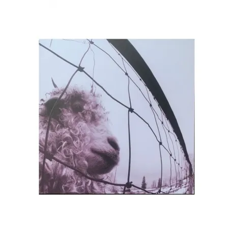 Pearl Jam - Vs. (coloured) (0196588368714) виниловая пластинка