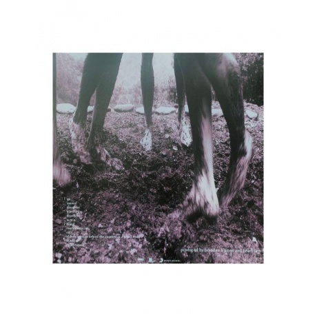 Pearl Jam - Vs. (coloured) (0196588368714) виниловая пластинка - фото 2