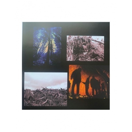 Pearl Jam - Vs. (coloured) (0196588368714) виниловая пластинка - фото 6