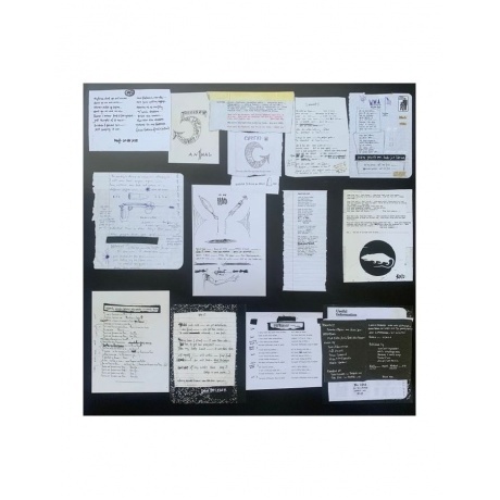 Pearl Jam - Vs. (coloured) (0196588368714) виниловая пластинка - фото 7