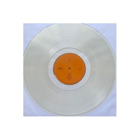 Pearl Jam - Vs. (coloured) (0196588368714) виниловая пластинка - фото 8