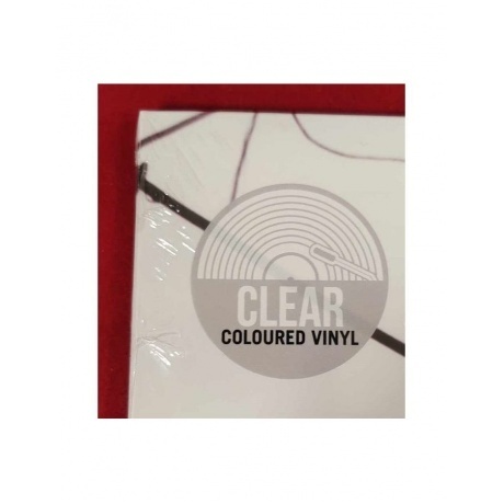 Pearl Jam - Vs. (coloured) (0196588368714) виниловая пластинка - фото 10