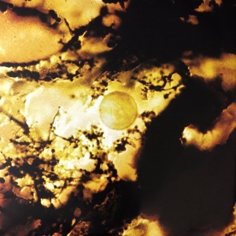 Hugar - Rift (0194399415719) виниловая пластинка - фото 7