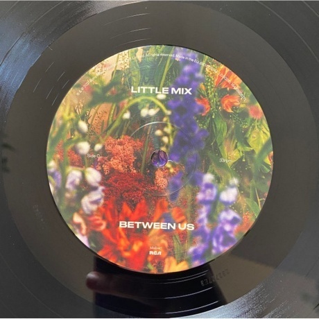Little Mix - Between Us (0194399262719) виниловая пластинка - фото 5