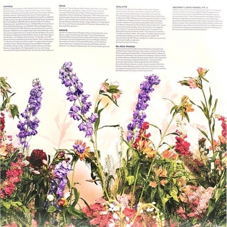 Little Mix - Between Us (0194399262719) виниловая пластинка - фото 8