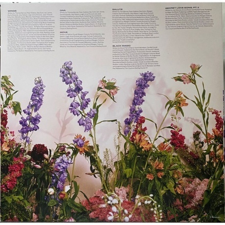 Little Mix - Between Us (coloured) (0194399263310) виниловая пластинка - фото 4