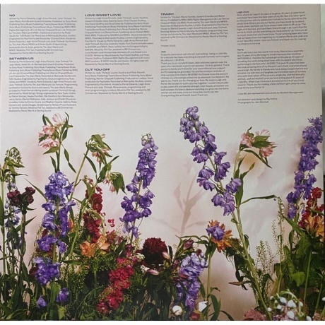 Little Mix - Between Us (coloured) (0194399263310) виниловая пластинка - фото 6