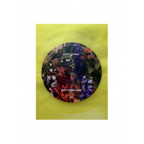 Виниловая пластинка Little Mix, Between Us (coloured) (0194399263310) - фото 12