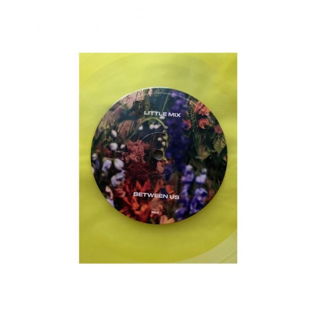 Виниловая пластинка Little Mix, Between Us (coloured) (0194399263310) - фото 14