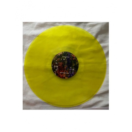 Виниловая пластинка Little Mix, Between Us (coloured) (0194399263310) - фото 15