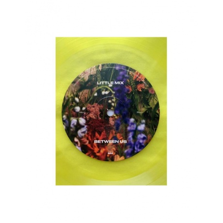 Виниловая пластинка Little Mix, Between Us (coloured) (0194399263310) - фото 8