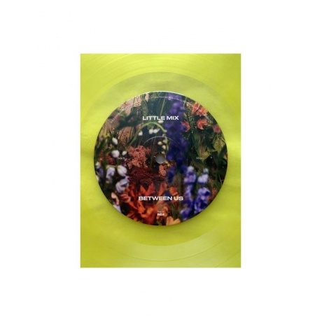 Виниловая пластинка Little Mix, Between Us (coloured) (0194399263310) - фото 10