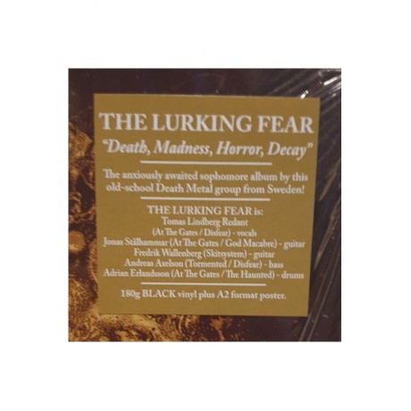 Виниловая пластинка Lurking Fear, The, Death, Madness, Horror, Decay (0194399330012) - фото 5