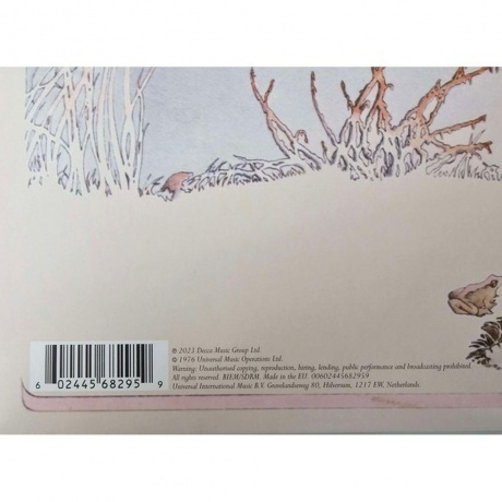 Camel - Moonmadness (0602445682959) виниловая пластинка - фото 3