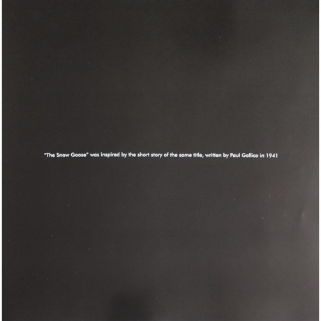 Camel - The Snow Goose (0602445682942) виниловая пластинка - фото 4