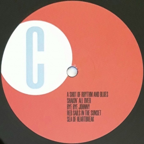 Van Morrison - Accentuate The Positive (0044003369603) виниловая пластинка - фото 7