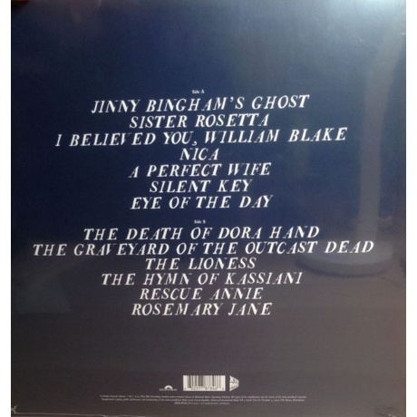 Frank Turner - No Man's Land (coloured) (0602577878466) виниловая пластинка - фото 2