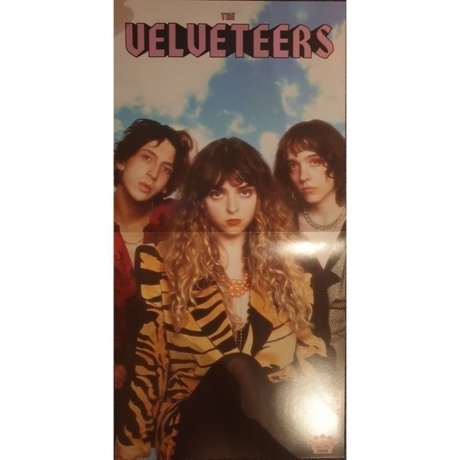 The Velveteers - Nightmare Daydream (0888072272385) виниловая пластинка - фото 3