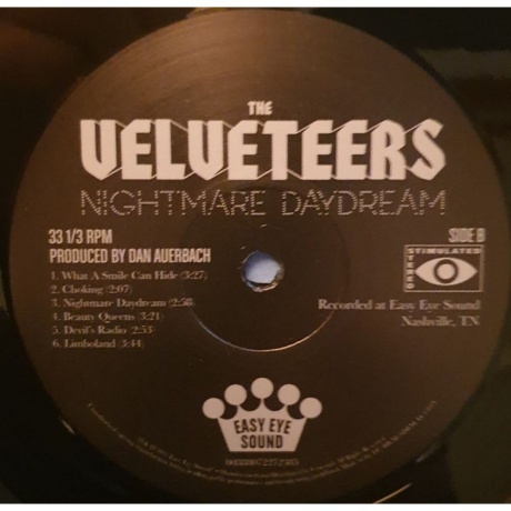 The Velveteers - Nightmare Daydream (0888072272385) виниловая пластинка - фото 6