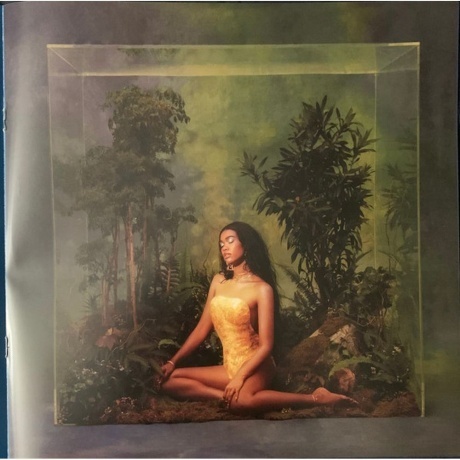 Amber Mark - Three Dimensions Deep (0602438129157) виниловая пластинка - фото 13