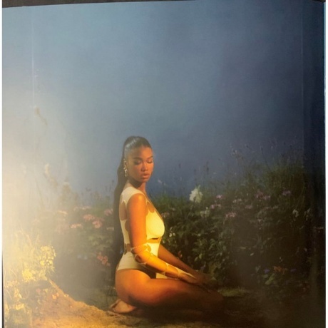 Amber Mark - Three Dimensions Deep (0602438129157) виниловая пластинка - фото 15