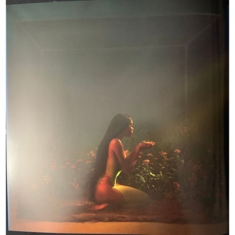 Amber Mark - Three Dimensions Deep (0602438129157) виниловая пластинка - фото 9