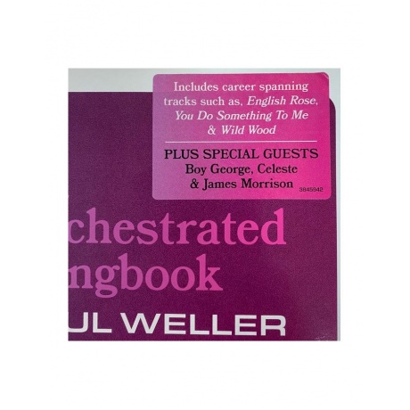 Виниловая пластинка Weller, Paul, An Orchestrated Songbook With Jules Buckley &amp; The BBC Symphony Orchestra (0602438459421) - фото 16