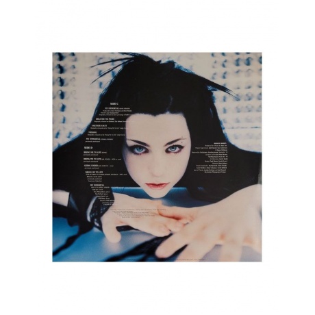 Виниловая пластинка Evanescence, Fallen - deluxe (coloured) (0888072561922) - фото 11