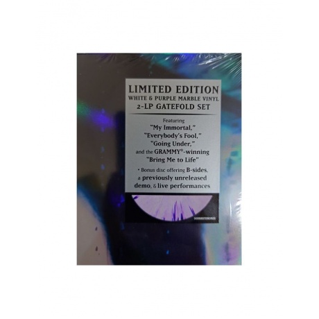 Виниловая пластинка Evanescence, Fallen - deluxe (coloured) (0888072561922) - фото 13